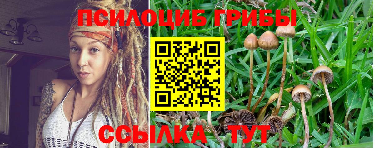 Псилоцибиновые грибы мицелий  Вход с VPN  Ногинск 