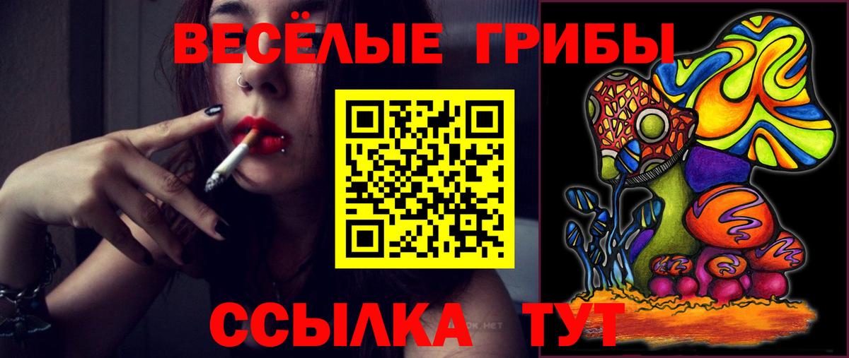 Галлюциногенные грибы Cubensis Ногинск